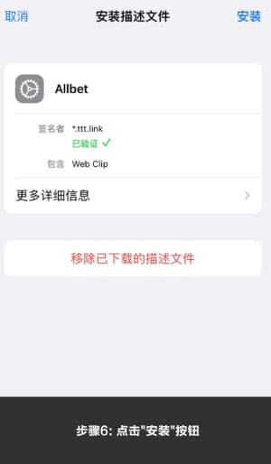 欧博ABG iOS版APP安装流程图示｜从下载到验证的完整步骤6